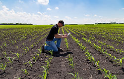 Agronomist with Tablet